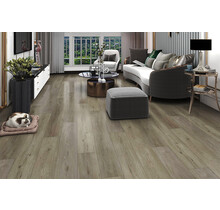 Sancy Plank Click | DM-310-PL