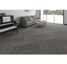 Havanna Visgraat Click | WD-203-HB
