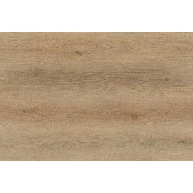 Garonne Plank | Dry Back Garonne Plank | Dry Back