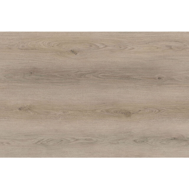 Seine Plank | Dry Back Seine Plank | Dry Back