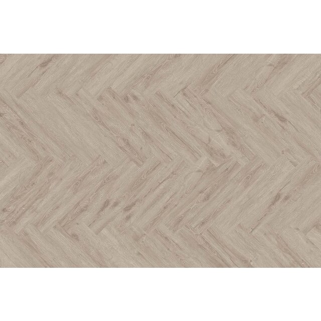 Odet Visgraat | Dry Back Odet Visgraat | Dry Back