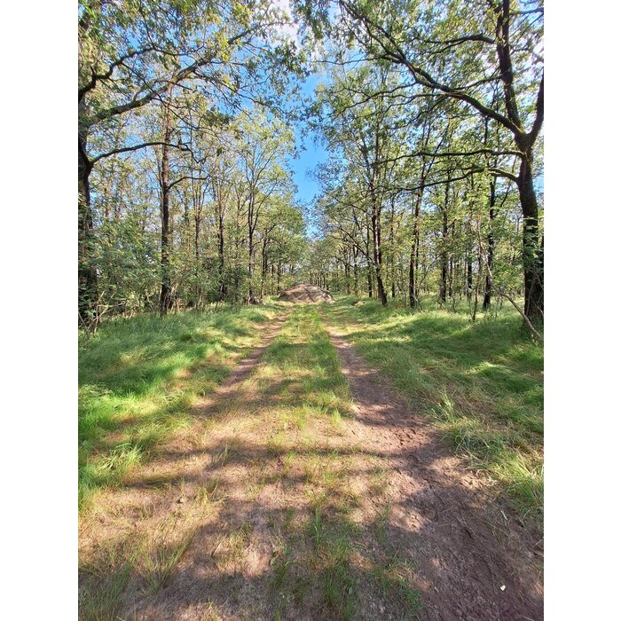 GHOSTHOOD LXR (LIGHT EXTREME REVERSIBLE) CONCAMO® CAMOUFLAGE NET