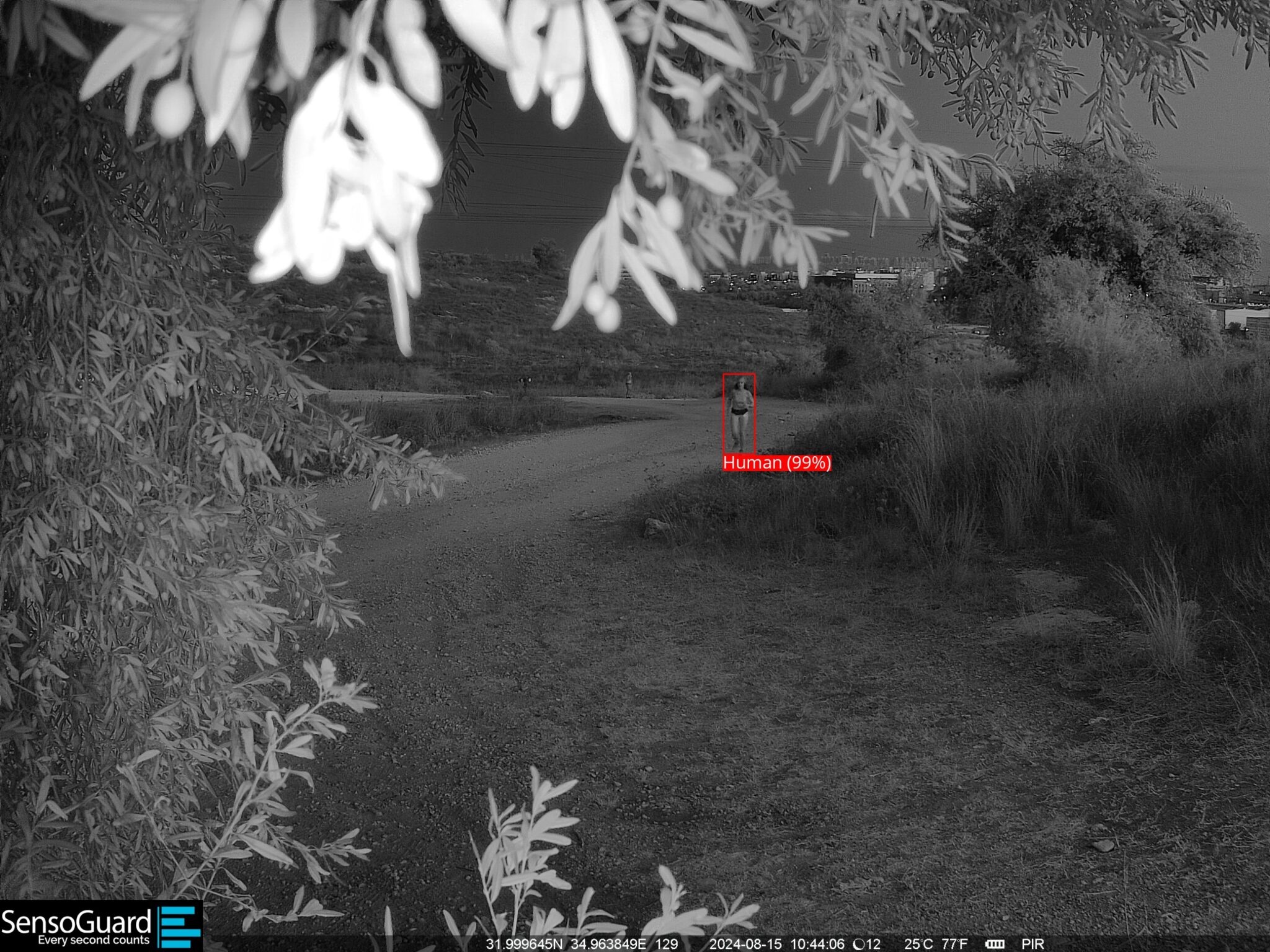 SENSOGUARD COVERT EYE 4G