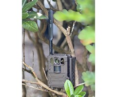 SENSOGUARD COVERT EYE 4G