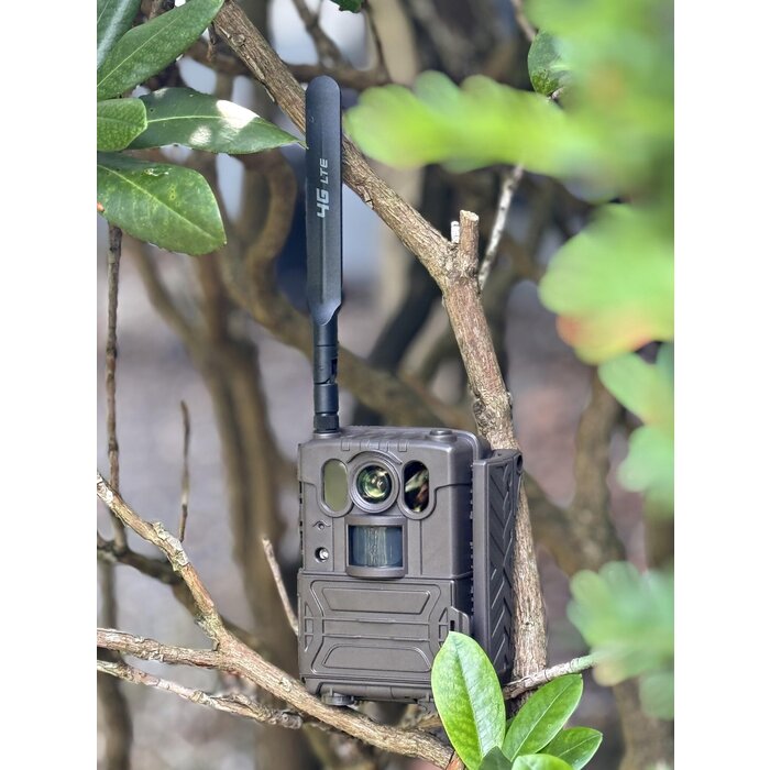 SENSOGUARD COVERT EYE 4G