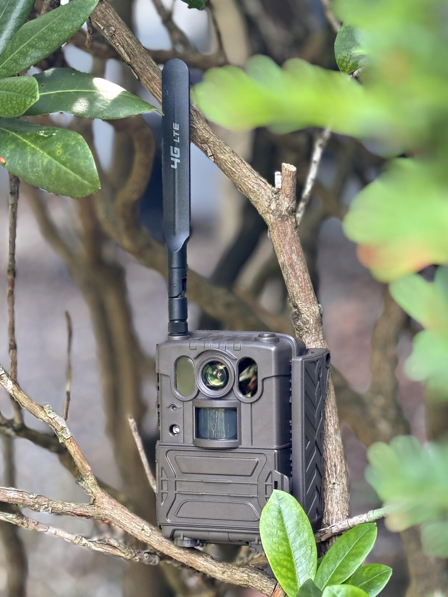 SENSOGUARD COVERT EYE 4G