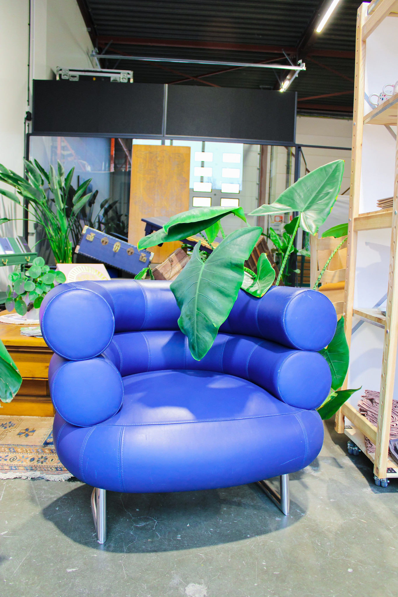 Blue Designer Chair Roots 33