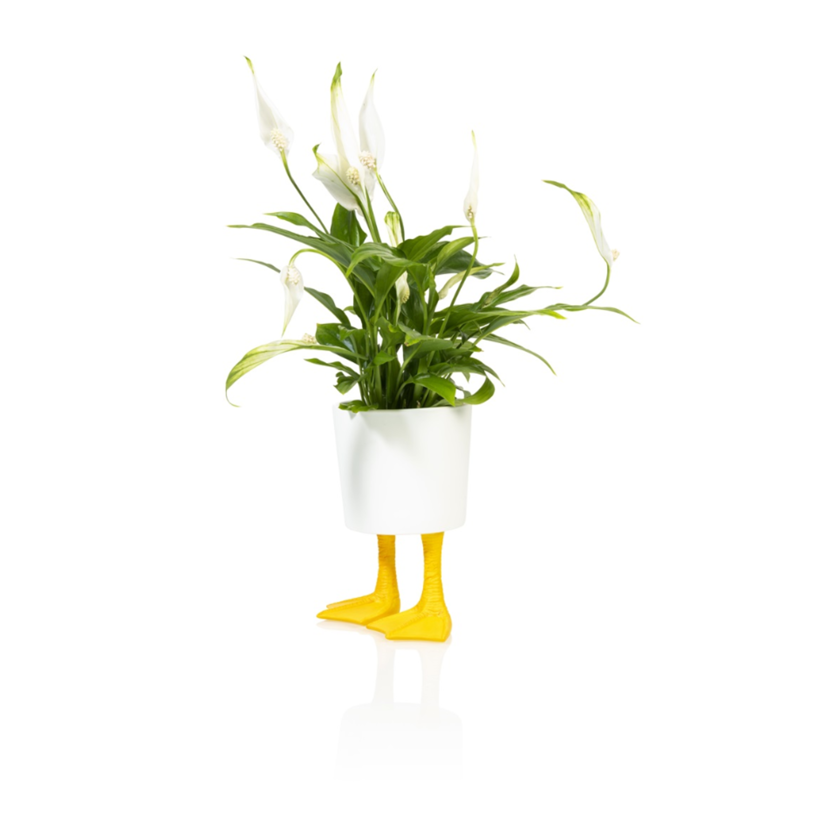 Bitten-Design Duck Feet Planter -