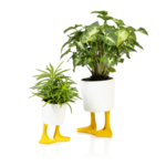 Bitten-Design Duck Feet Planter -