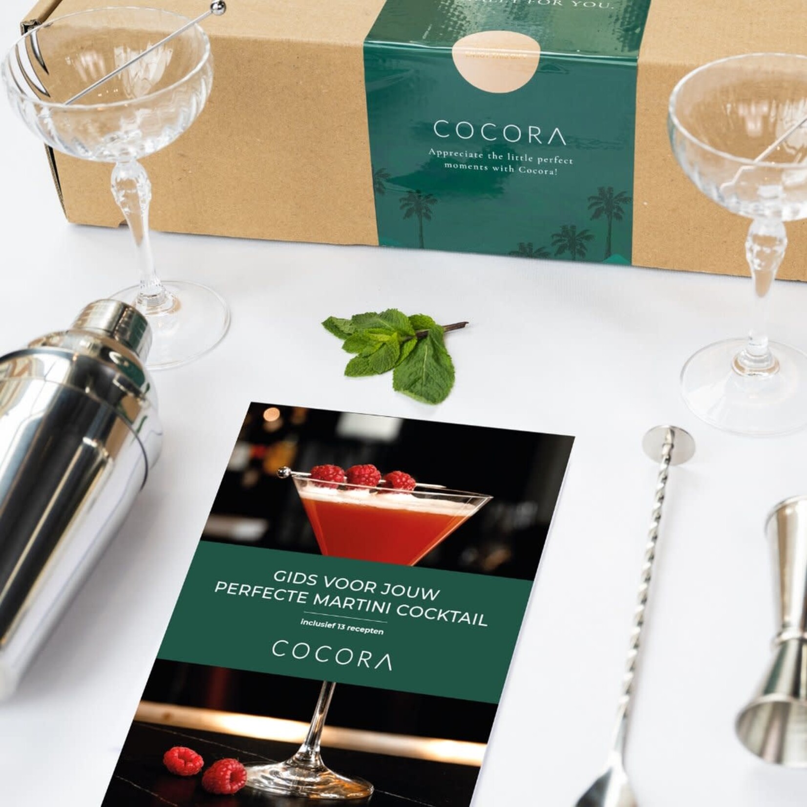 Cocora Martini Coupe Giftset -