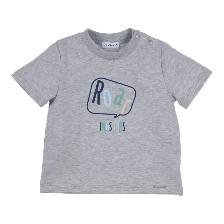 Gymp Gymp T-shirt Aerochine Roar Grey - Grey Melange