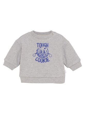 Noppies Noppies Sweater Sardesi - Grey