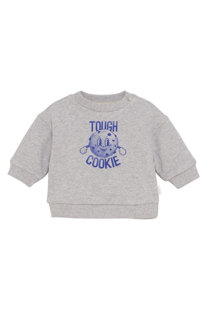 Noppies Noppies Sweater Sardesi - Grey