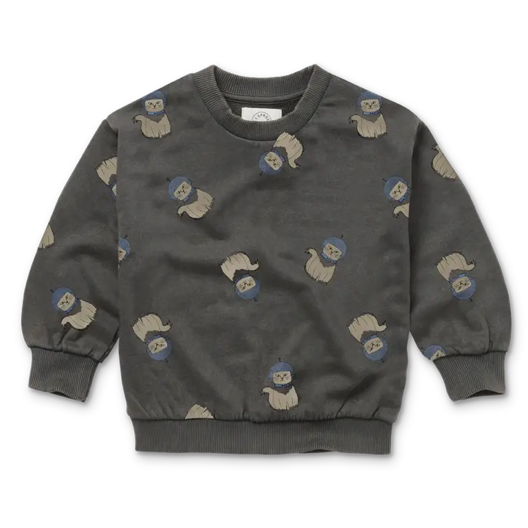 Sproet & Sprout Sproet & Sprout Sweatershirt - Space cat print