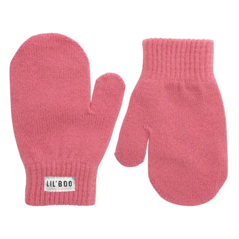 Lil Boo Lil Boo Mittens (wantjes) 1-3y
