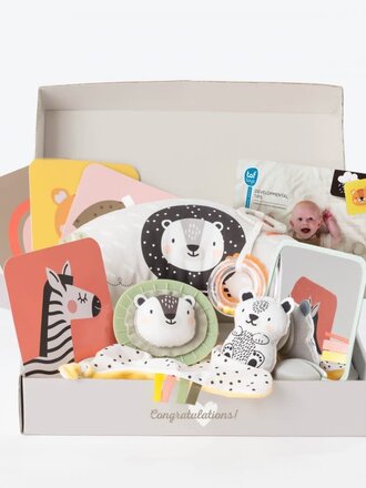 Taf Toys Taf Toys Newborn kit