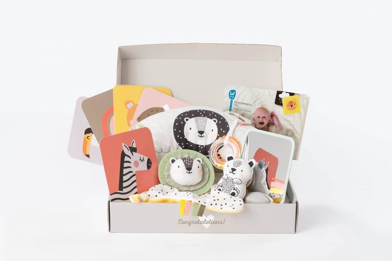 Taf Toys Taf Toys Newborn kit