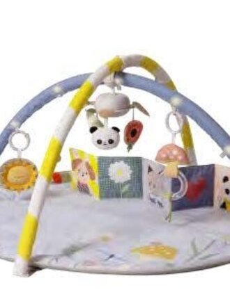 Taf Toys Taf Toys Speelmat Bloom gym