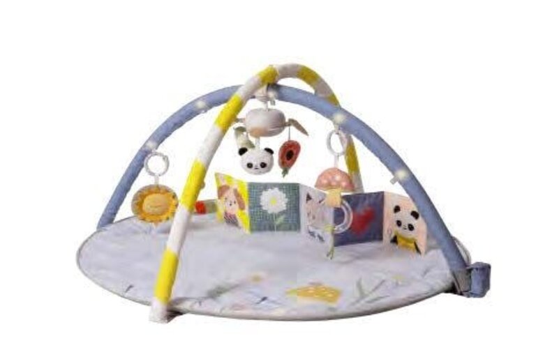 Taf Toys Taf Toys Speelmat Bloom gym