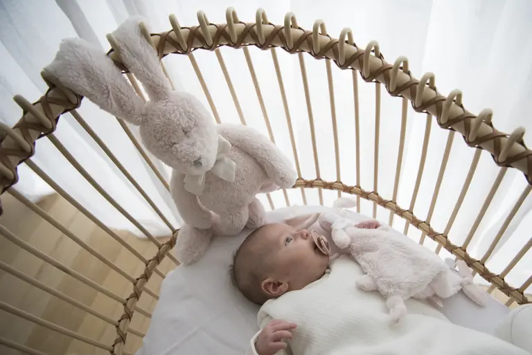 Dimpel Flore 25 - Wit