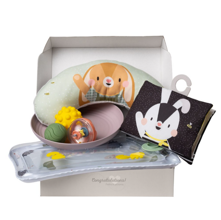 Taf Toys Taf Toys Tummy Time kit