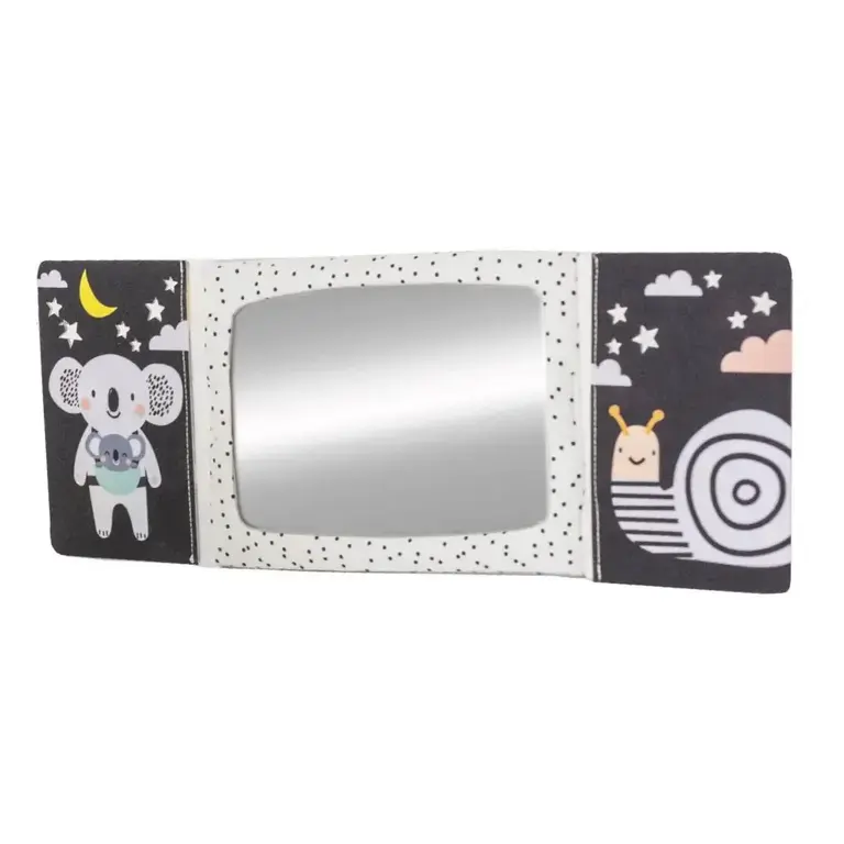 Taf Toys Taf Toys Tummy-Time mirror