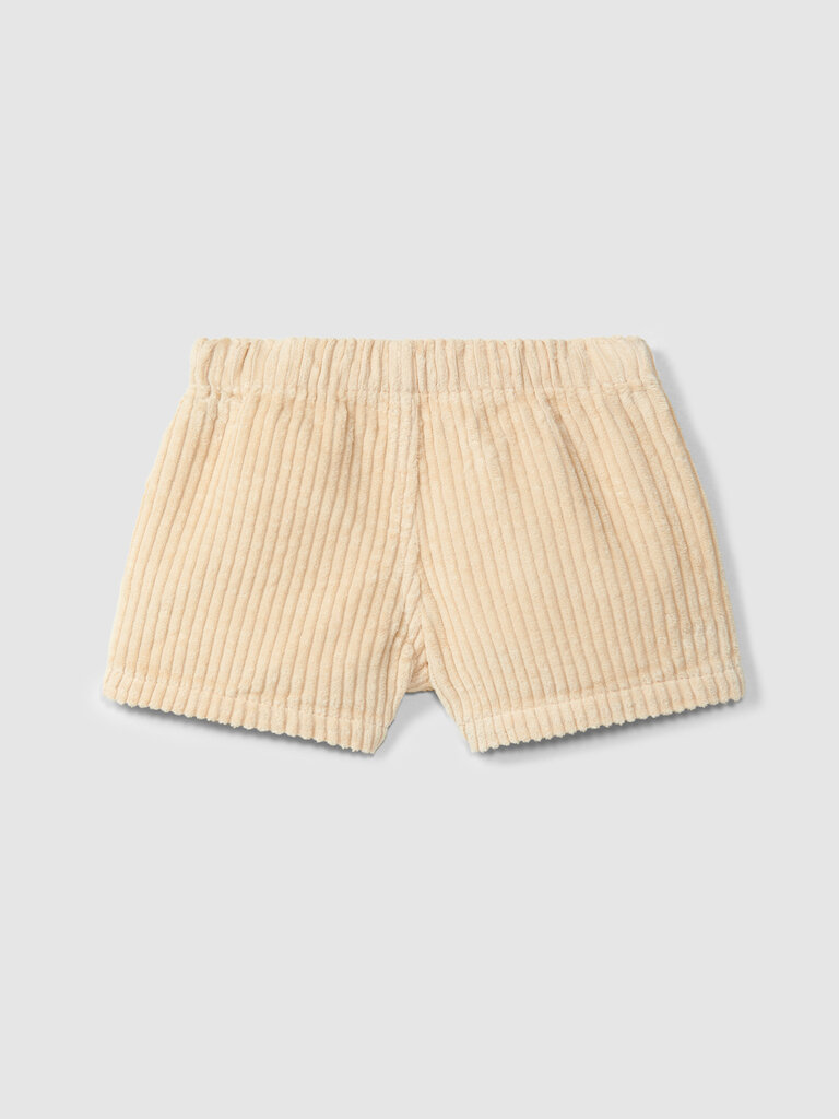Snugg Snugg Pull-up shorts ribbed velvet - Beige