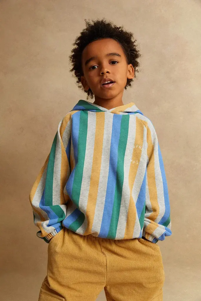 Sproet & Sprout Sproet & Sprout Sweatshirt hoody stripes  - Grey melee