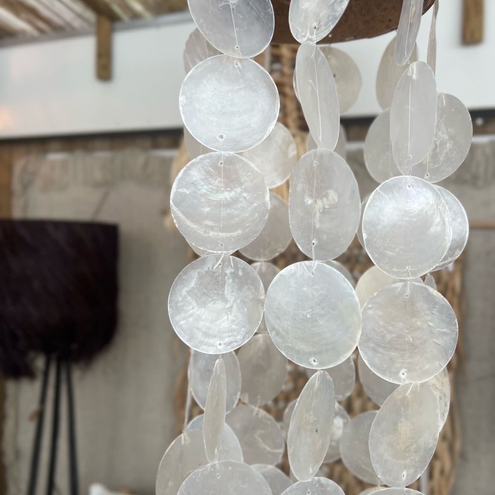 Schelpen hanger met kokosnoot