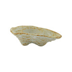 Kandelaar Shell Cala