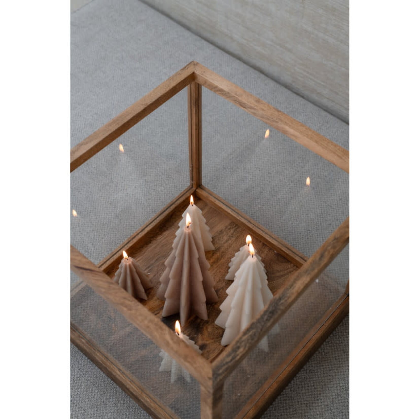 Home Society Deco Candle Tree Lio