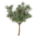 Home Society Groene kerst tak Fir
