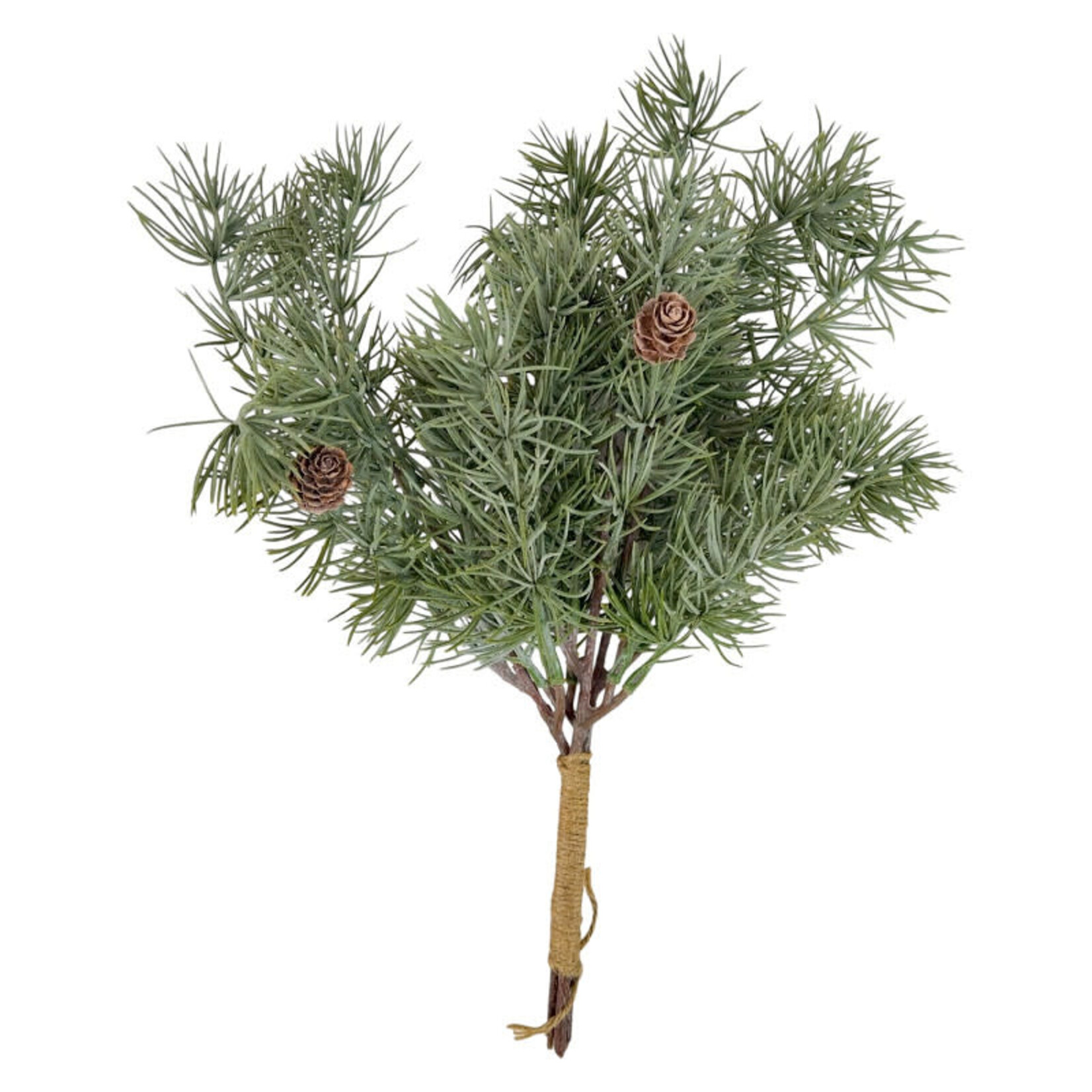 Home Society Groene kerst tak Fir