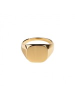 Northern Legacy Classic Signature Ring - Gold