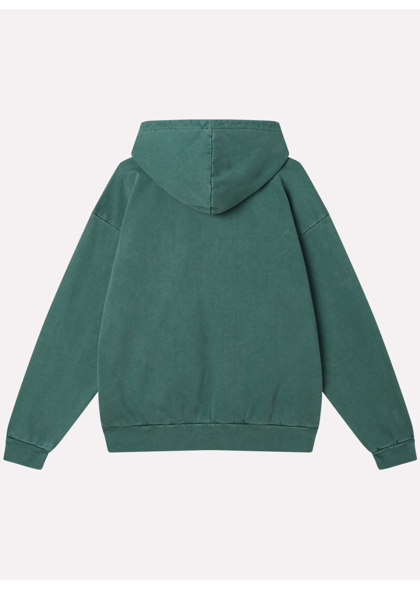 Obey Lowercase Pigment Zip Hood Pigment Pine Needle 112460019-PNE