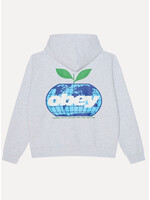 Obey Intercontinental Extra Heavy Hood Ash Grey 111610070-AGRY