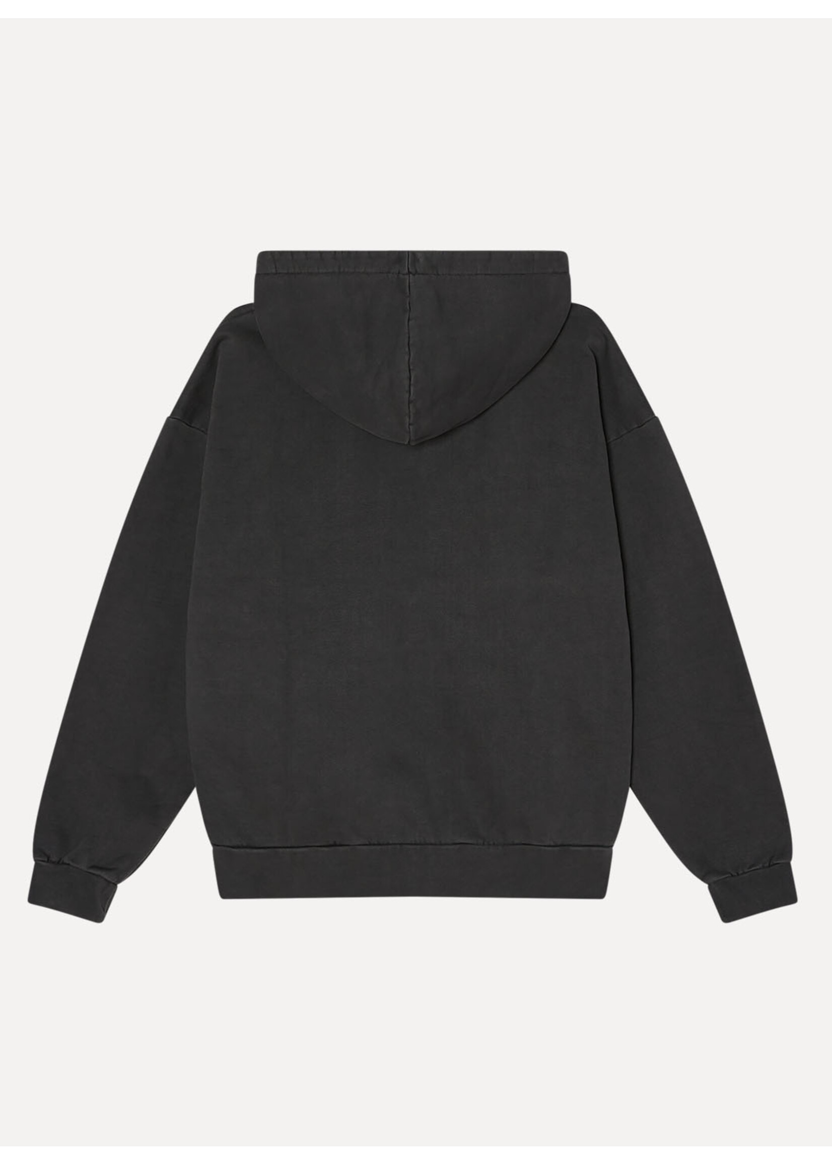 Obey Lowercase Pigment Zip Hood Pigment Digital Black 112460019-DIB