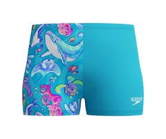 Speedo DIG ALLOV AQSH BLU/BLU.