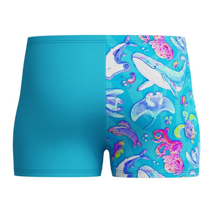 Speedo DIG ALLOV AQSH BLU/BLU.