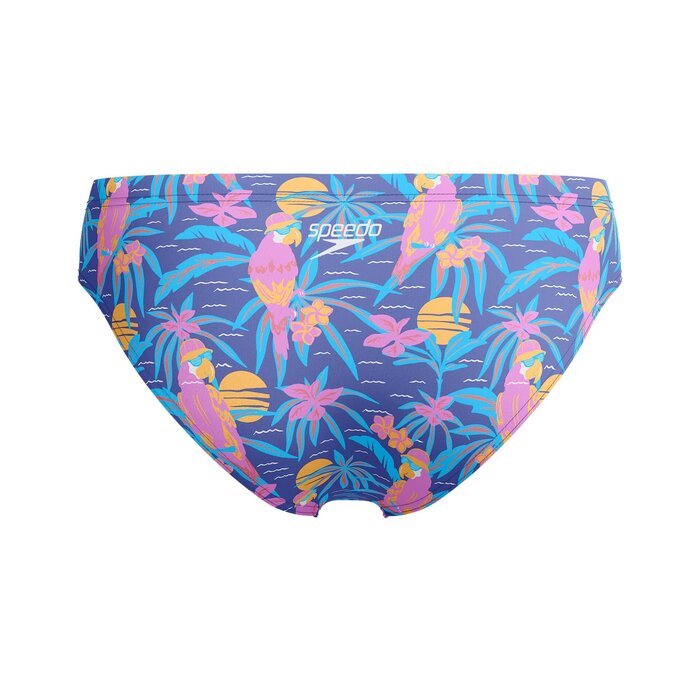 Speedo ECO+ 8C ALLOV DIG BRIEF BLU/PUR