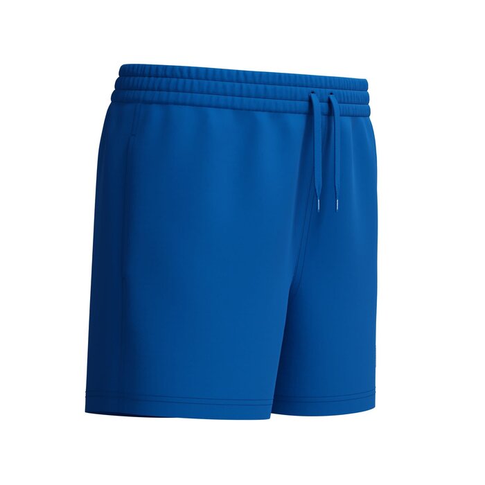 Speedo CLASSIC LOGO VOLLEY 13 BLU