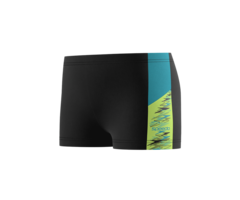 Speedo DIVE AQUASHORT BLA/GRN