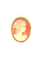 Vintage & Occasion geelgouden hanger / broche camee