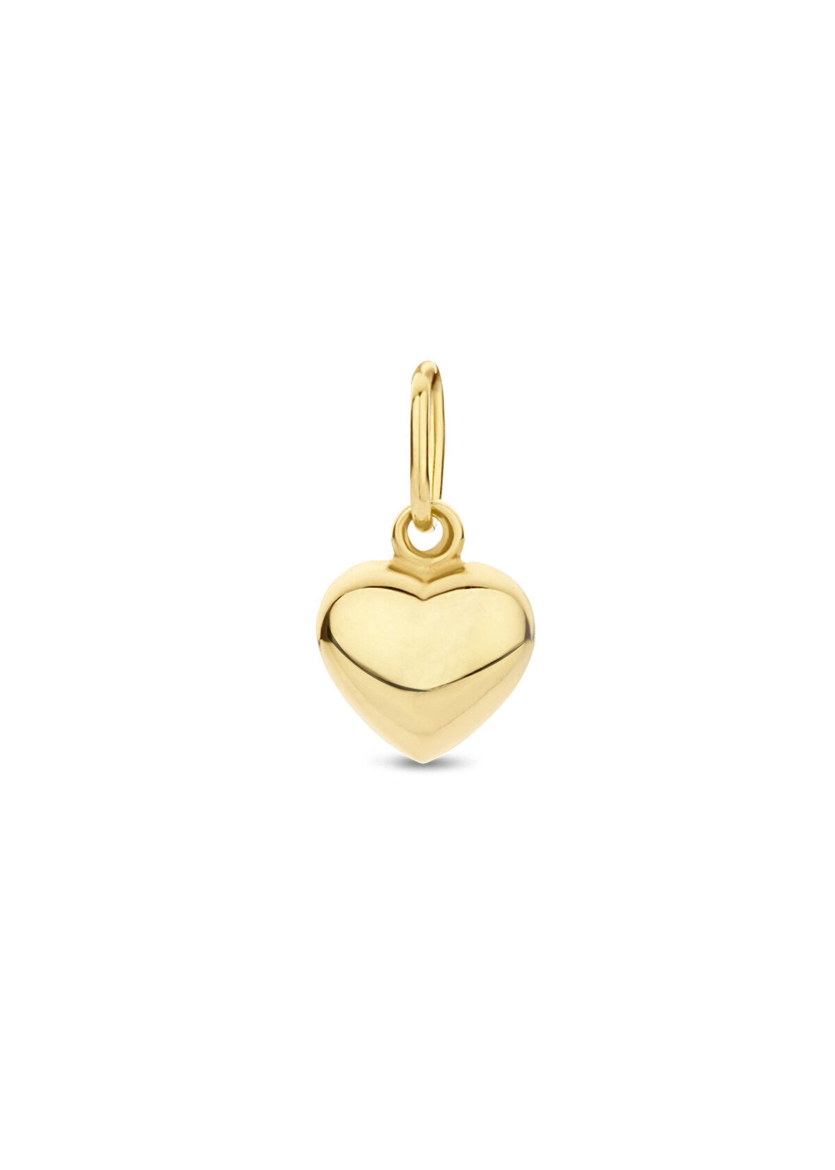 Cataleya jewels Cataleya Jewels 9k Hanger Hartje Goud