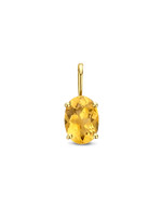 Cataleya jewels Cataleya Jewels 14 k Hanger Citrien  facet geslepen
