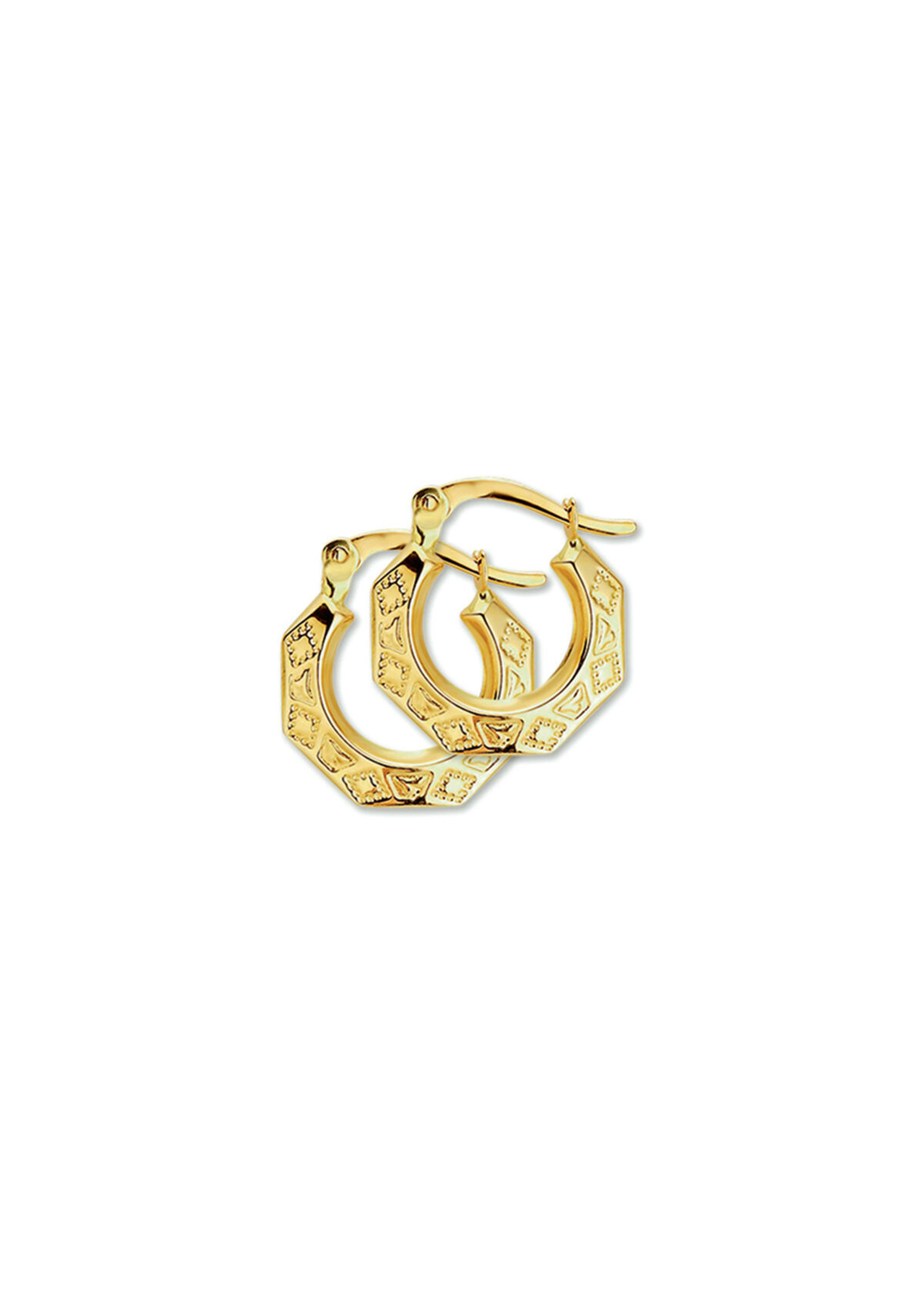 Cataleya jewels Gouden oorringen lapide