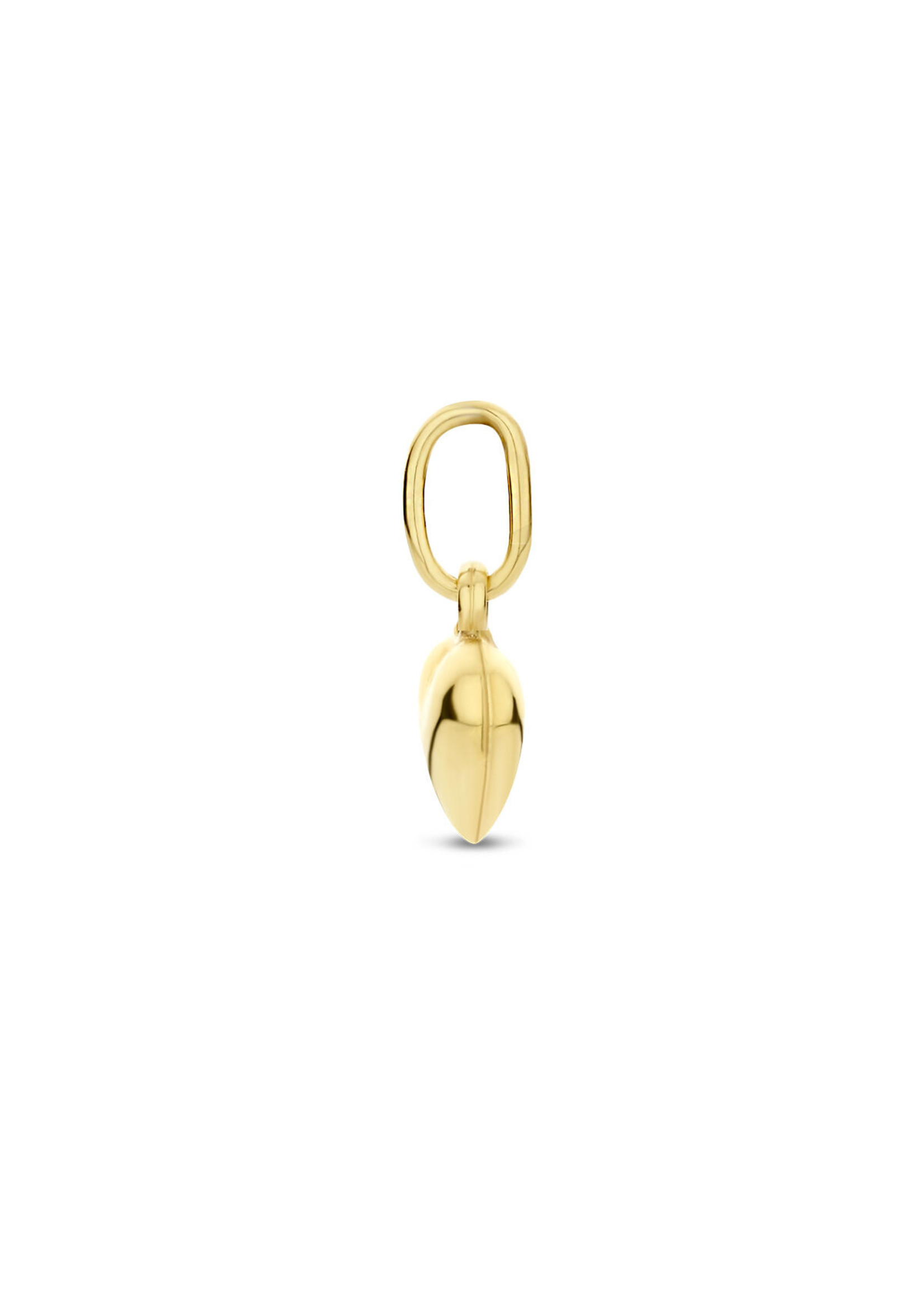 Cataleya jewels Cataleya Jewels 9k Hanger Hartje Goud