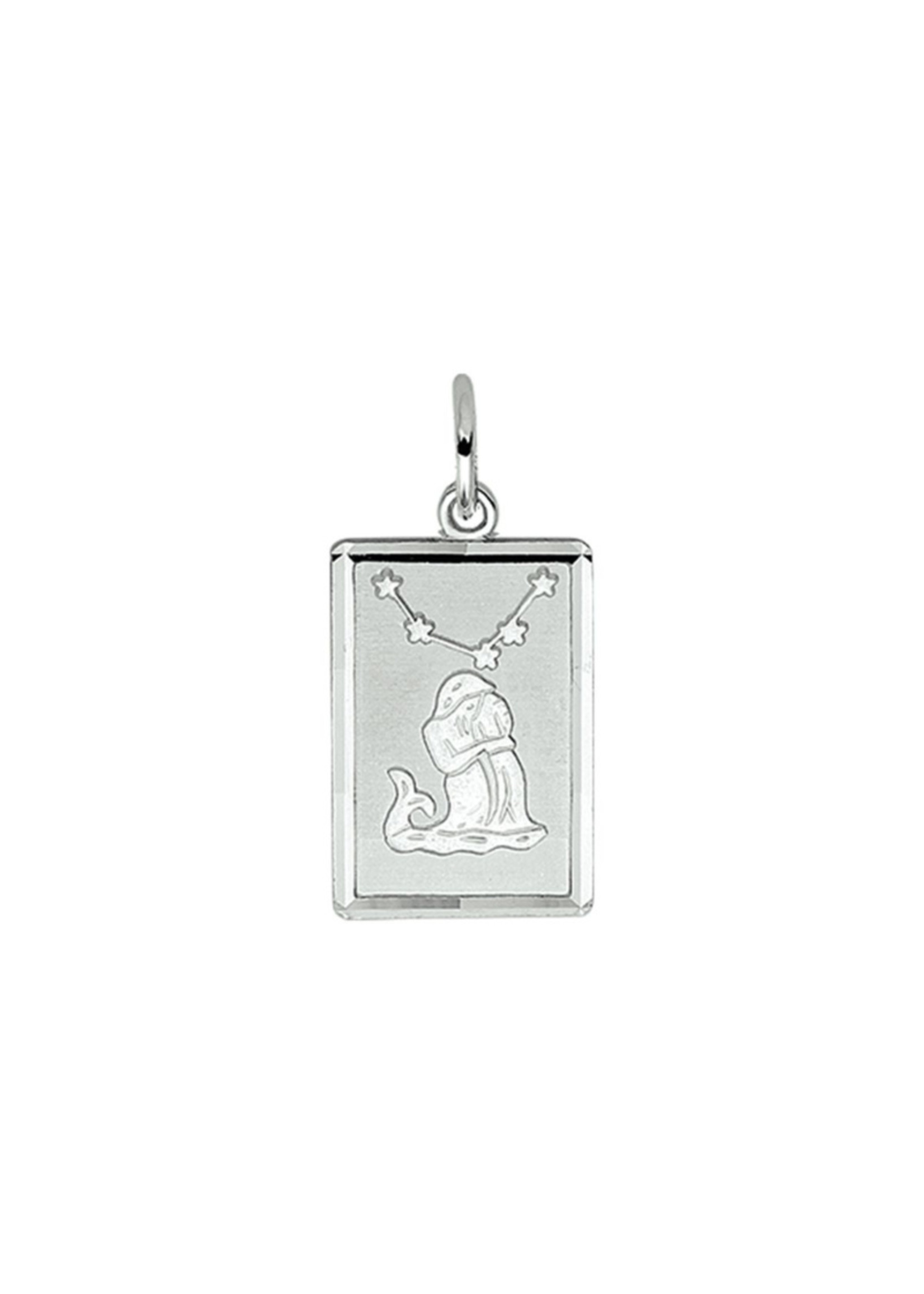 Vintage & Occasion Zilveren hanger sterrenbeeld gediamanteerd waterman
