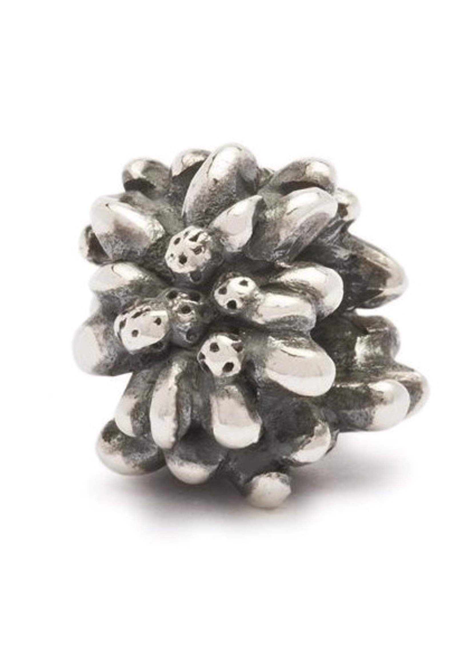 Trollbeads CH11305 / TAGBE-30028 Edelweiss (Worldtour)