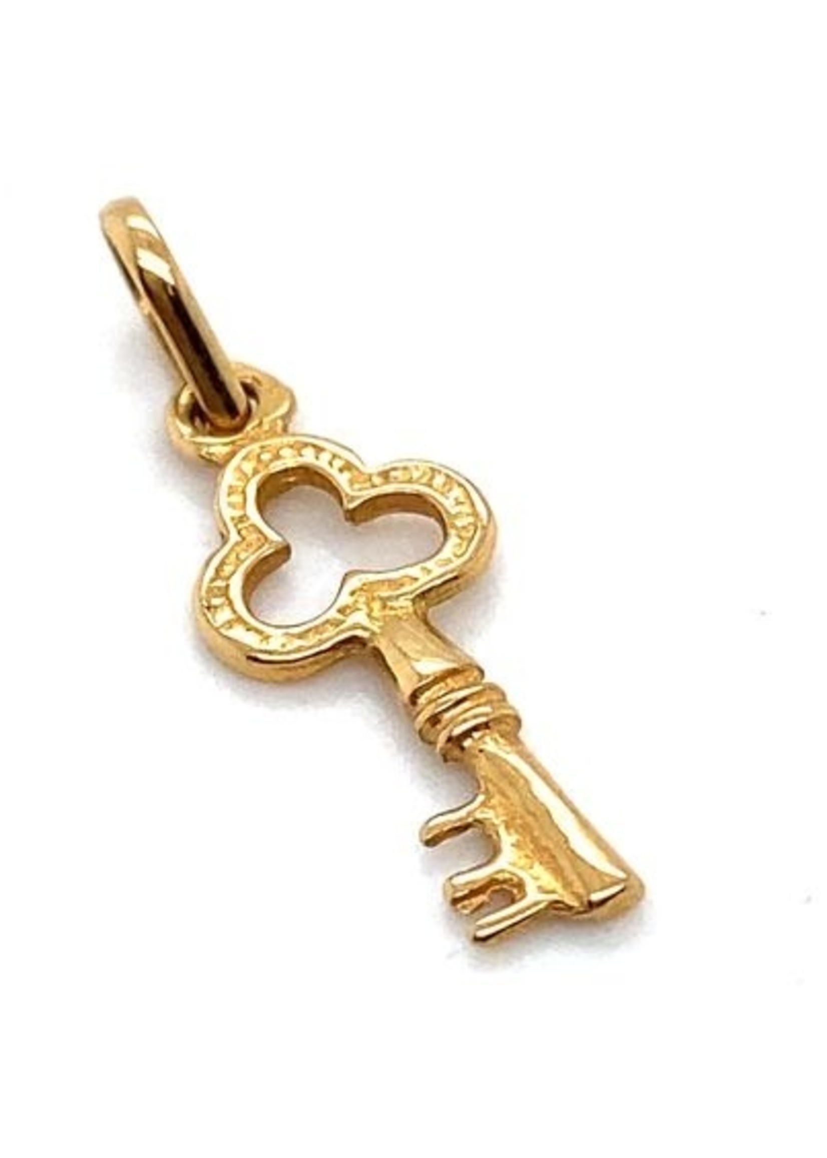 Vintage & Occasion Occasion gouden hanger sleutel